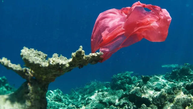 Corona se suma a la causa: "por una playa libre de plástico"