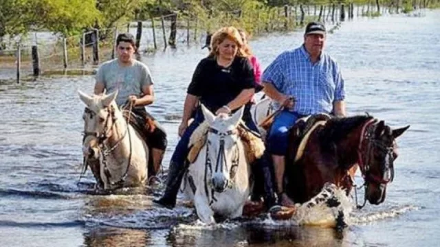 La Sociedad Rural de Chaco pide que Senasa intervenga para vacunar la hacienda bajo agua