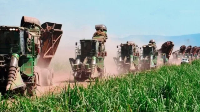 Fin de zafra en Ledesma: alternativas en un mundo que exige salud y sostenibilidad