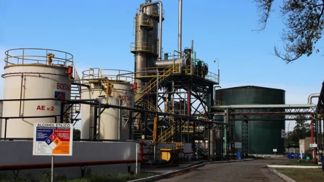 “El azúcar dejó de ser negocio, el etanol puede ser uno de los protagonistas” ¿Los Balcanes y un cambio total de industria?