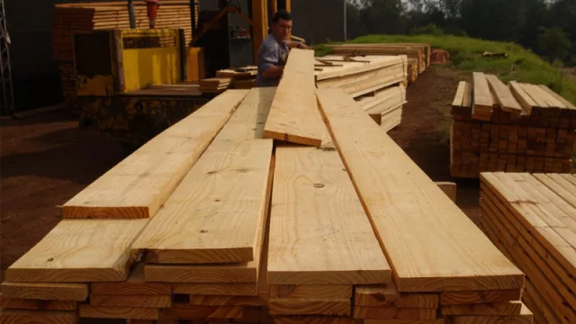 En un año, en Corrientes incrementaron de cinco a 17 empresas exportadoras de productos de base forestal