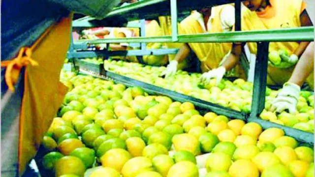 San Miguel consiguió u$s 100 millones de financiamiento