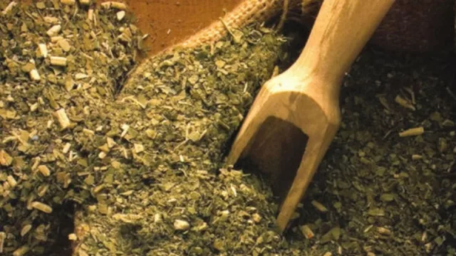 Las exportaciones de yerba alcanzaron un récord histórico y el consumo interno es el mejor en una década