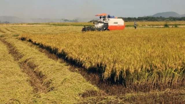 Corrientes se encuentra entre las ocho jurisdicciones con crecimiento económico