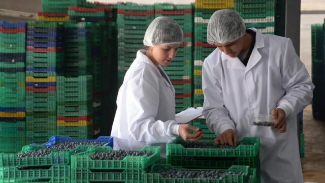 El 9º Corrientes Emprende seleccionó los 20 proyectos que se destacaron por relevantes e innovadores