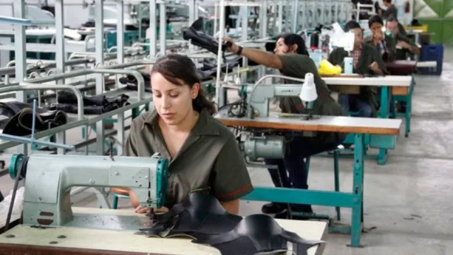 Chaco semilla: el 28 de septiembre cierra la convocatoria de proyectos