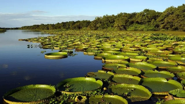 Aquí están, estas son... las 28 finalistas a las 7 Maravillas de Argentina (mirá cuáles de Litoral)