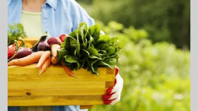 Orgánicos mueven u$s 90.000 millones: qué hay ahí para la Argentina