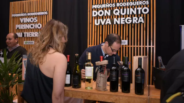 8° Expo Vino y Encantos Regionales: en esta edición, con 45 bodegas de todo el país y más de 500 etiquetas de vino