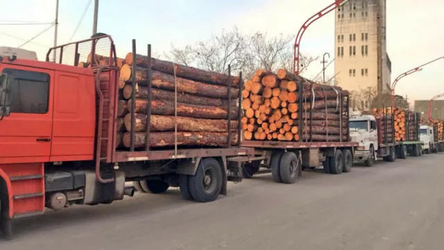Se exporta madera entrerriana a China desde el puerto de Concepción del Uruguay