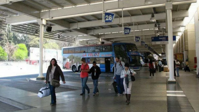 Empresas de colectivos se redefinen para no perder competitividad ante las low cost