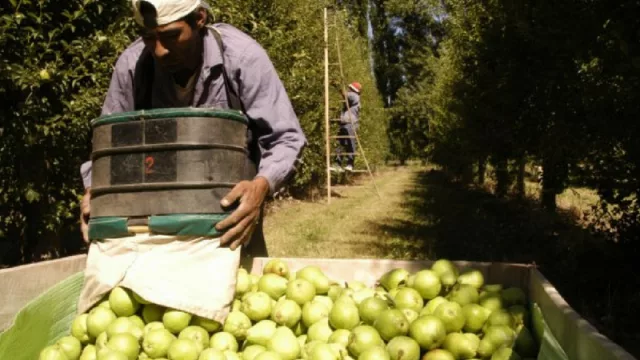 Antes del ingreso al tembladeral cambiario, el “Semáforo de las Economías Regionales” tiene 10 sectores en crisis