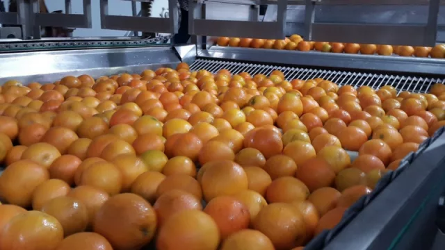 Empresa radicada en Entre Ríos se instalará en Corrientes atraída por los beneficios