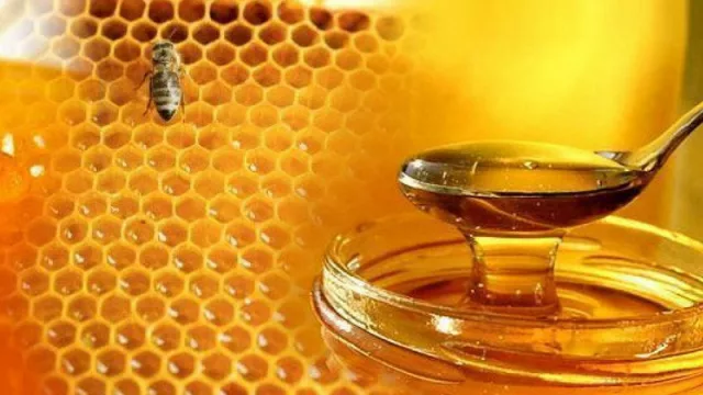 Lanzamiento oficial de la Semana de la Miel