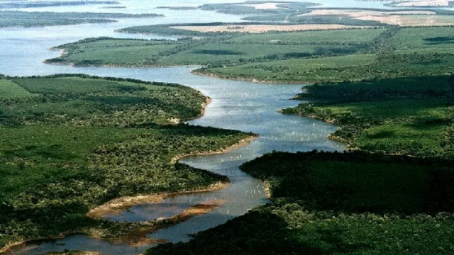 La provincia pidió quitarle el IVA a las boletas de luz ¿nos perjudica a la larga?