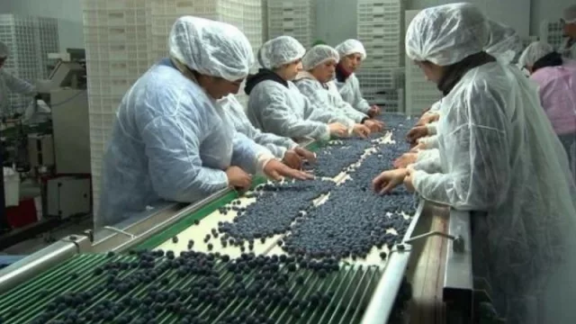 Tucumán distribuirá su Guía de Oferta Exportable en todas las embajadas del mundo