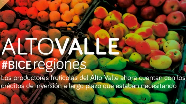 El BICE triplicó sus préstamos para Neuquén y Río Negro (fruticultura y servicios petroleros)