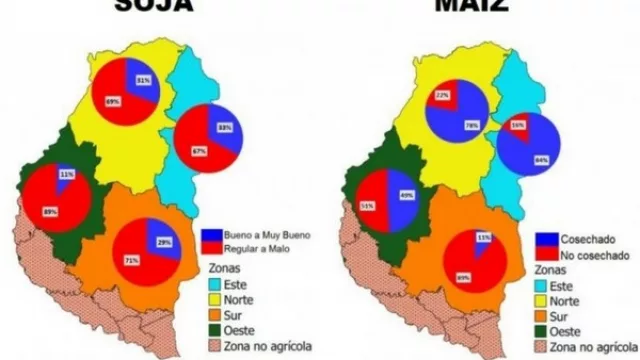 Campo: ascienden a $10.000 millones las pérdidas en Entre Ríos