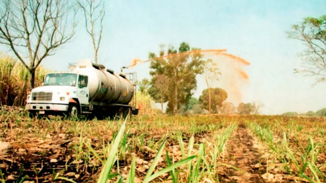 La producción de etanol no aumentó la contaminación en Las Termas, pero sí el mal olor en Tucumán