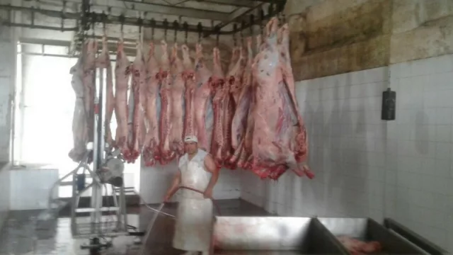 Clausuraron el matadero de Metán por no estar habilitado para faena de animales