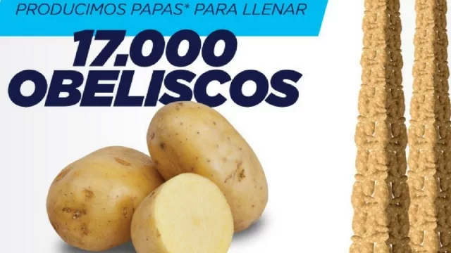 El campo argentino en 11 infografías claras (7 de cada 10 dólares de expo vienen de ahí)