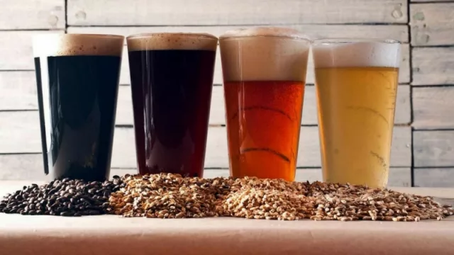 Cerveceros artesanales santafesinos tienen su reglamentación