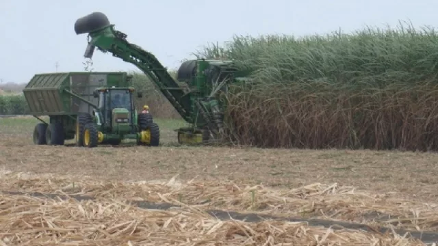 Tucumán produjo hasta septiembre casi un millón de toneladas de azúcar físico