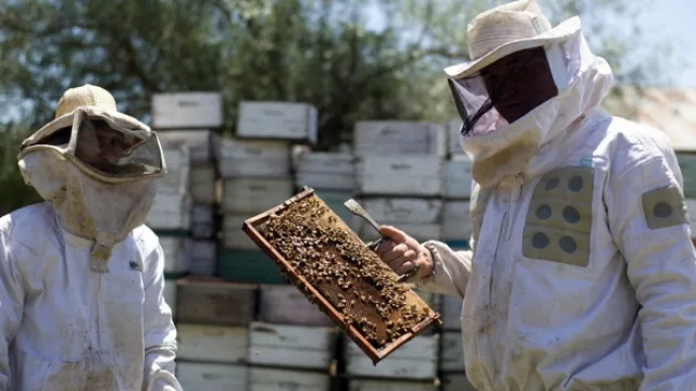 Paraná se prepara para una Jornada Federal de Formación de PyMEs Agroindustriales Exportadoras