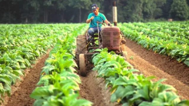 Industria tendrá un presupuesto con un incremento del 27% para el 2018