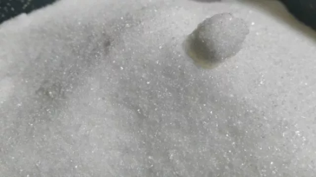 Atención productores: podrían reducir las retenciones a la exportación de azúcar