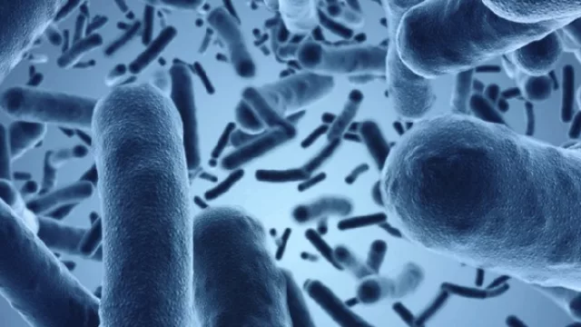 Avance made in Tucumán: lograron incorporar probióticos a la leche en polvo