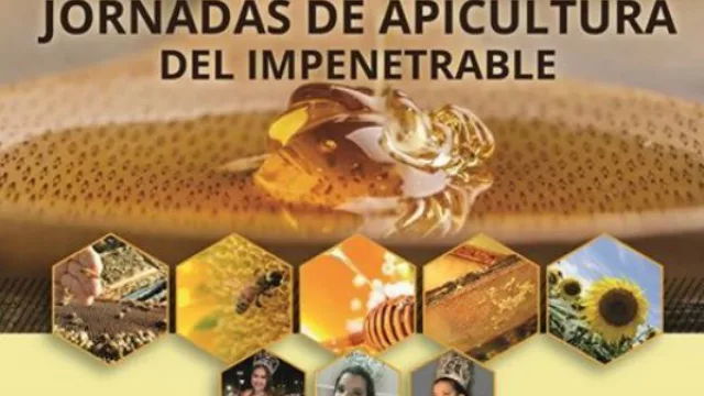 En agosto llega la 23° exposición provincial de apicultura de ‘El Impenetrable’