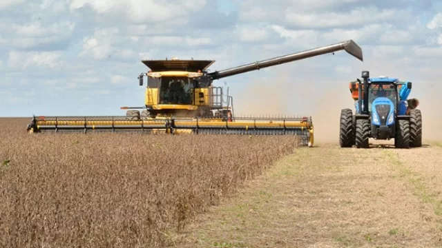 Soja: segunda mayor producción en 17 años en el país y la más alta en la provincia