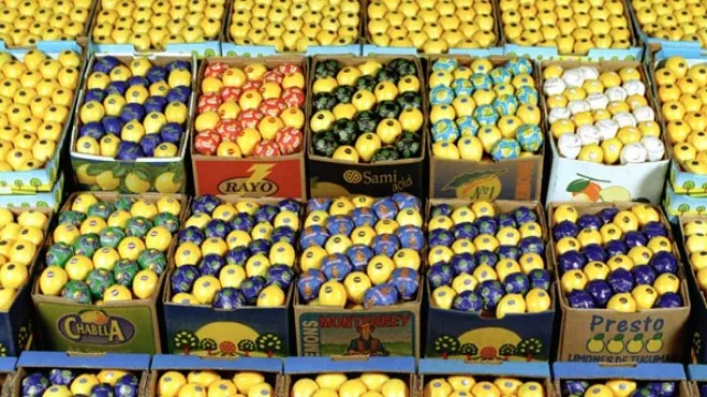 ¡Llegan buenas noticias! México abre su mercado a los limones de Tucumán