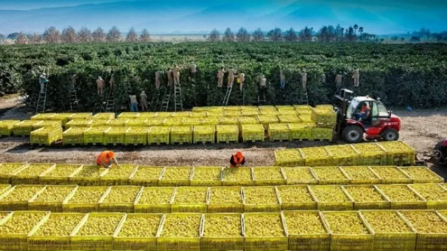 La empresa tucumana Citrusvil se destacó en Miami