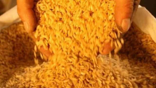 Santa Fe busca fortalecer la producción arrocera y registrar sello provincial