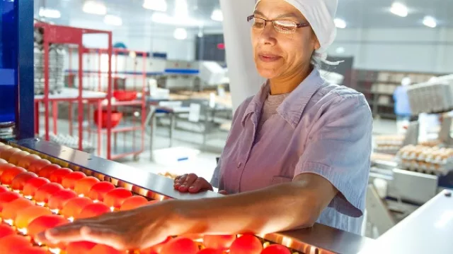 Las Tacuaras invirtió G. 850.485.646 en Responsabilidad Social Empresarial