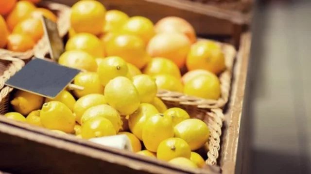 La apertura del mercado brasilero a los limones argentinos “es un gran avance”
