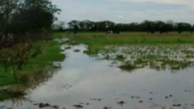 El programa correntino Com.Un hizo un relevamiento para acceder a beneficios de la Ley de emergencia hídrica