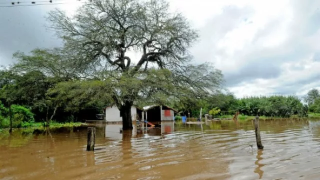 Nación declaró la emergencia agropecuaria para cuatro departamentos de Tucumán