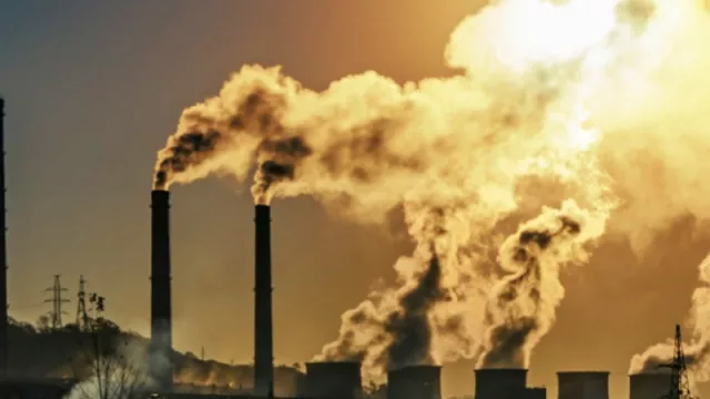 Resistencia deja huella mundial… ecológica