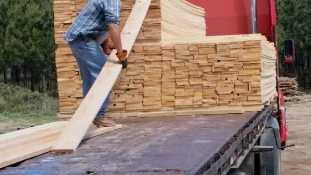 Más de $ 10 millones para productores forestales