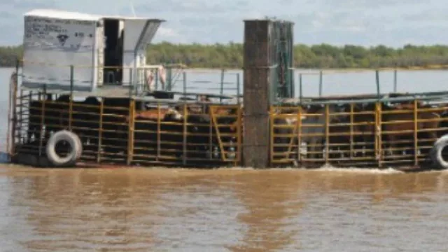 La actividad ganadera del Litoral enfrenta un alto nivel de riesgo por inundaciones