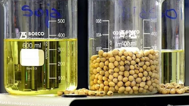 La empresa de biotecnología Keclon, fundada por investigadores santafesinos, instalará una planta productiva a nivel mundial