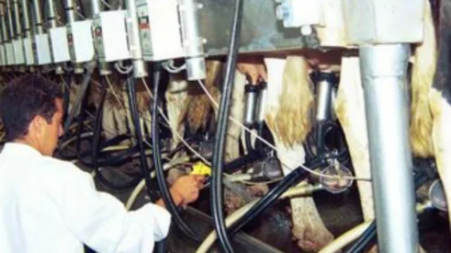 Entre Ríos apoya a productores lecheros con más de $ 40 millones