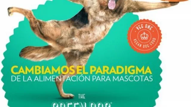 Un cordobés armó una empresa de comida vegana para mascotas (exporta a EE.UU, Europa y Asia)