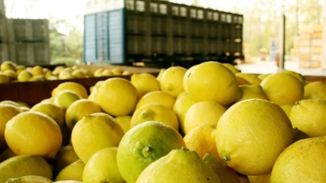 El citrus aceita la maquinaria para robustecer su política exportadora