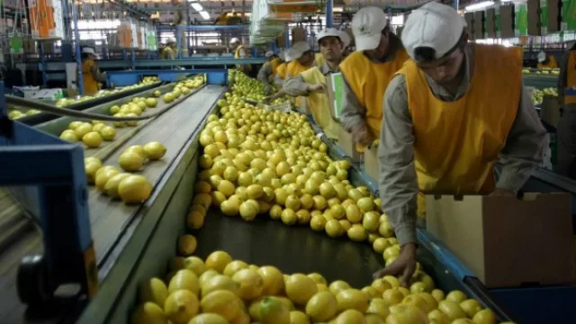 Estados Unidos levantará la restricción a la importación de limones
