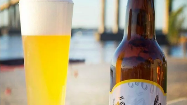 Ñande Bier: un proyecto audiovisual con espíritu joven, artesanal y payé