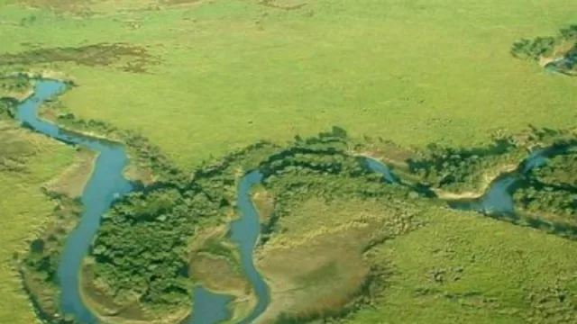 El Parque El Impenetrable se sumaría al Corredor Ecoturístico del Litoral